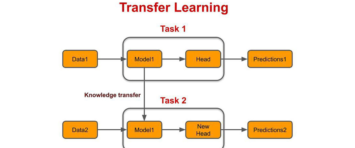 Understanding Transfer Learning in Generative AI Models