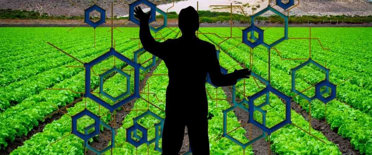 Using Blockchain to Improve Traceability and Sustainability in Agriculture